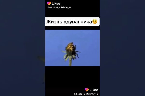 Что с кракеном сегодня сайт